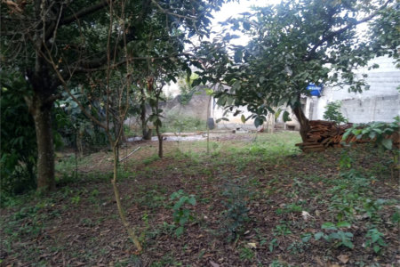 Terreno à venda ou para alugar no condomínio São Marcos, São Paulo - SP