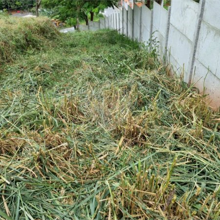 Terreno à venda em Parque Residencial Itapeti, Mogi das Cruzes, SP