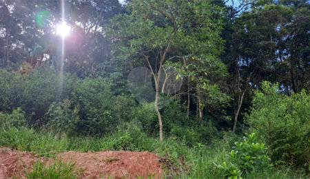 Área de Terra à venda em Terra Preta (terra Preta), Mairiporã, SP