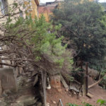 Terreno à venda em Tucuruvi, São Paulo, SP