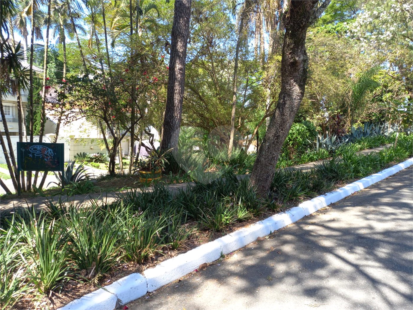 Terreno à venda em Vila Albertina, São Paulo, SP