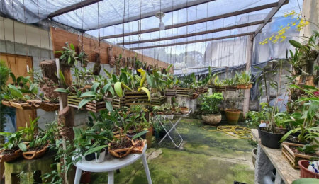 Terreno à venda em Vila Pirajussara, São Paulo, SP