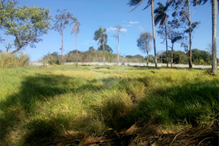 Terreno à venda em Parque Olimpico, Mogi das Cruzes, SP