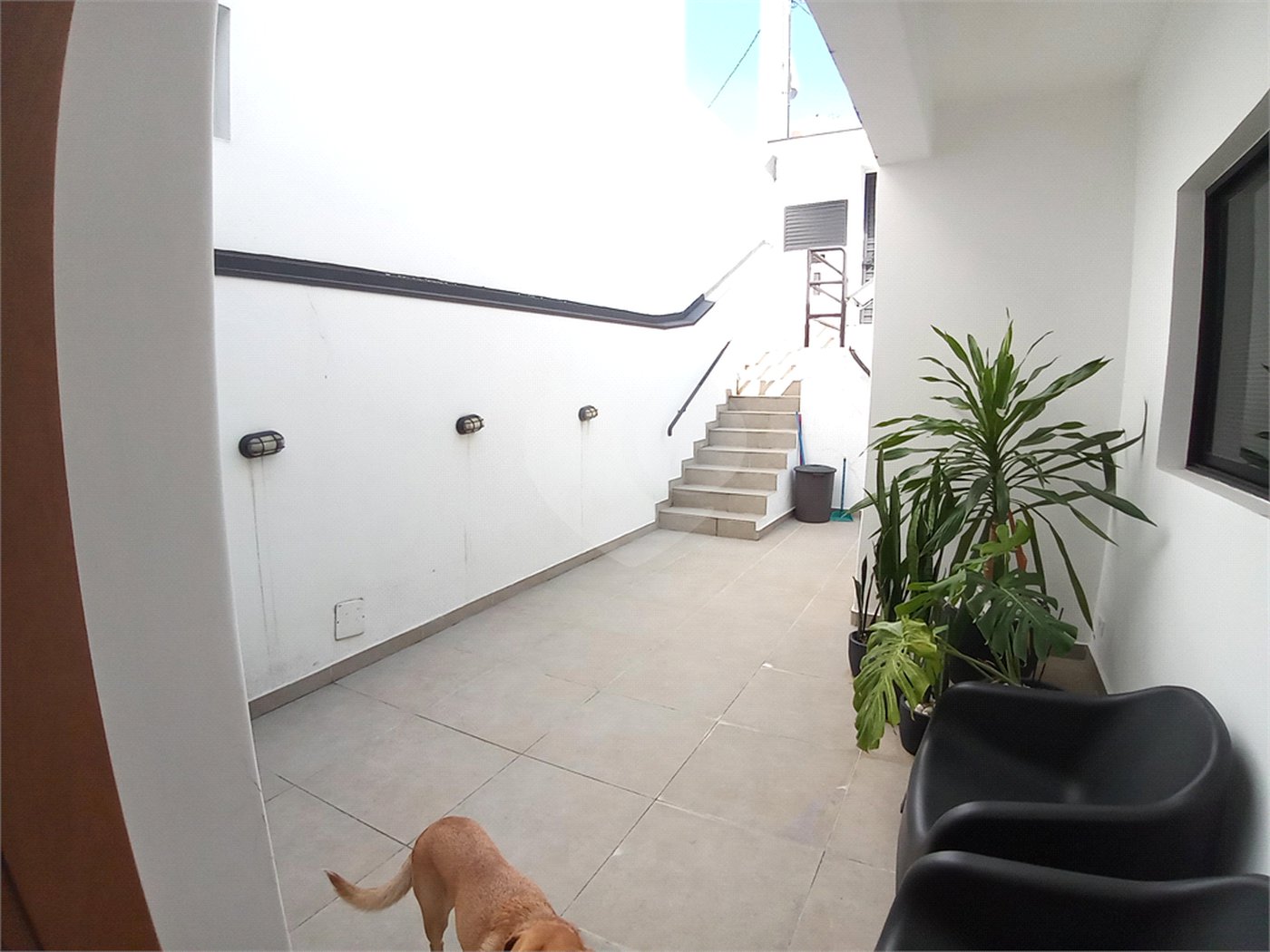 Casa à venda com 5 quartos, sendo 1 suíte,  em Água Fria, São Paulo, SP