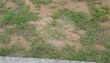 Terreno à venda no condomínio Residencial Dona Maria Candida, Indaiatuba - SP