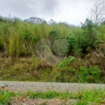 Terreno à venda em Luiz Fagundes, Mairiporã, SP