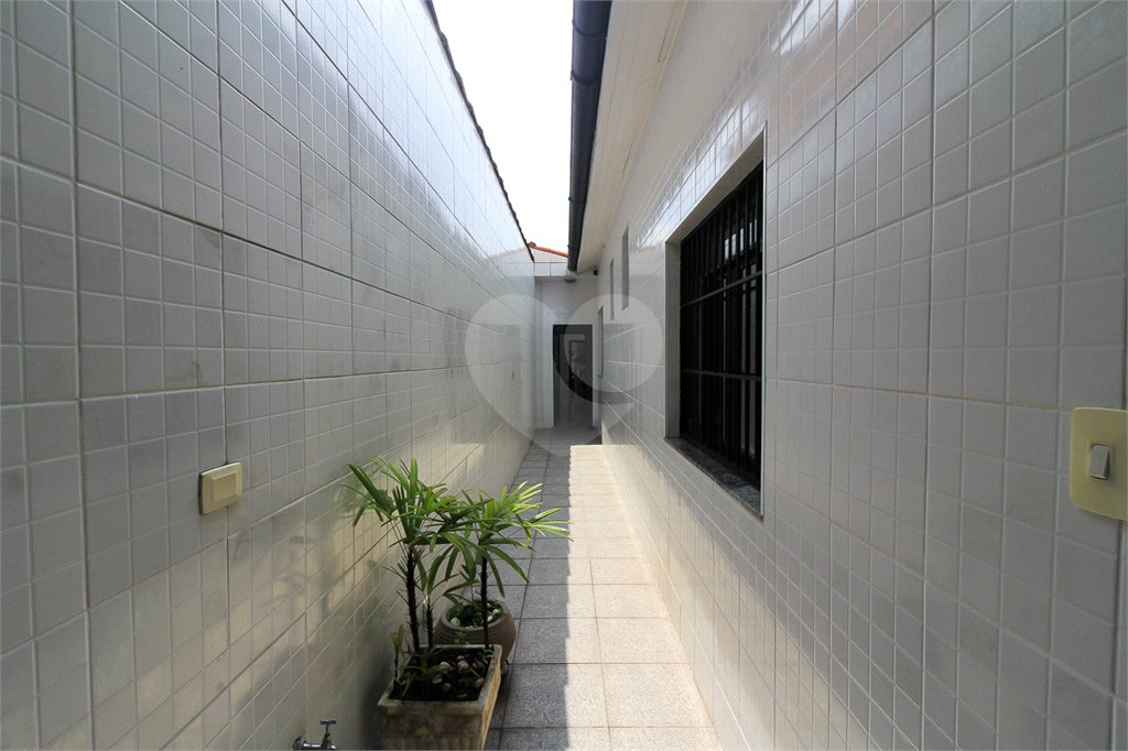 Casa Térrea à venda com 3 quartos em Vila Isolina Mazzei, São Paulo, SP