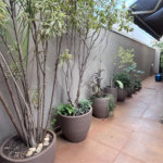 Casa à venda com 4 suítes no condomínio Quinta da Primavera Rp, Ribeirão Preto - SP
