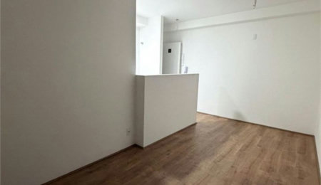 Apartamento com 3 dormitórios à venda, 52 m² por R$ 350.000,00 - Morro de Nova Cintra - Santos/SP