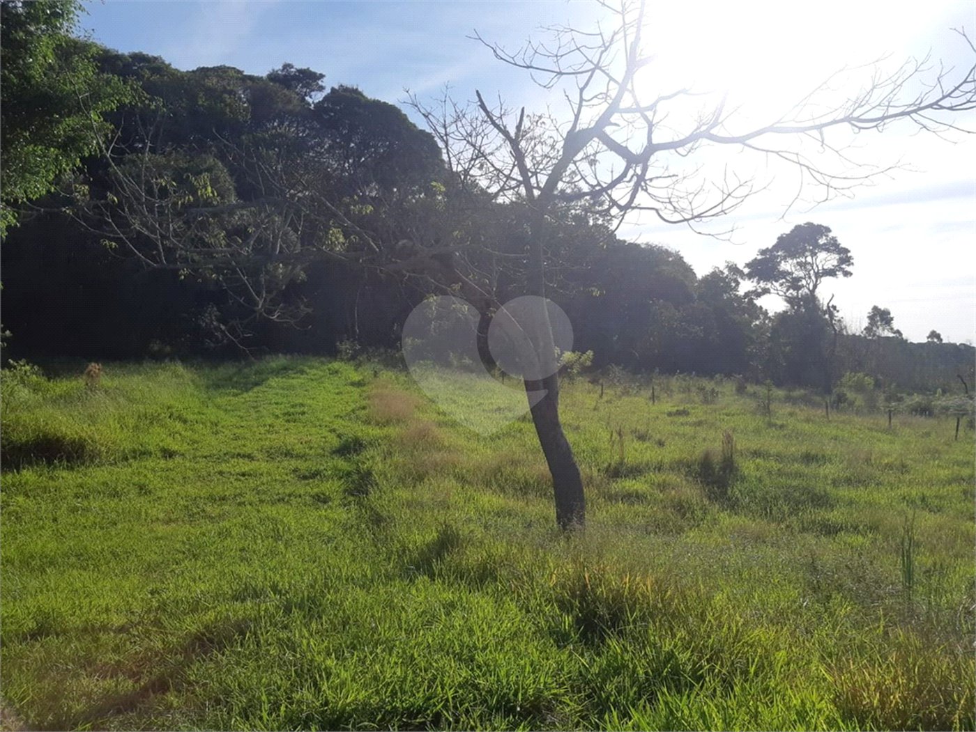 Terreno à venda em Vila Darcy Penteado (mailasqui), São Roque, SP