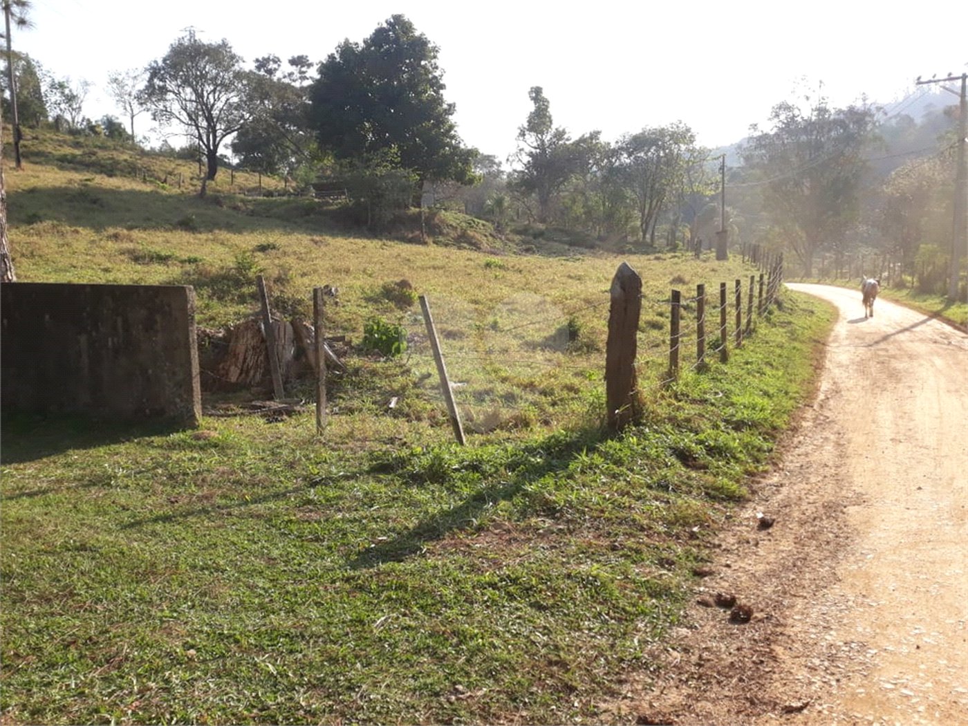 Sítio à venda com 3 quartos em Bairro do Cambará, São Roque, SP