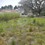 Terreno à venda em Taipas de Pedras (mailasqui), São Roque, SP