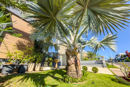 Casa à venda com 3 suítes no condomínio Jardim Residencial Dona Maria José, Indaiatuba - SP