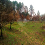Fazenda à venda com 2 quartos em City Castello, Itu, SP