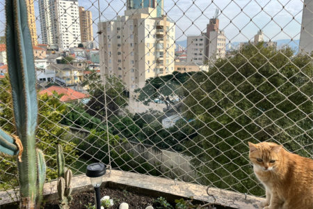 Apartamento à venda com 4 quartos, sendo 2 suítes,  em Água Fria, São Paulo, SP