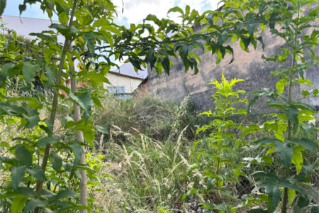 Terreno à venda em Jardim Bandeirantes, Salto, SP