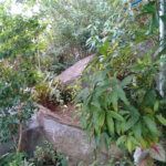 Casa Térrea à venda com 3 quartos, sendo 1 suíte, em Tucuruvi, São Paulo, SP