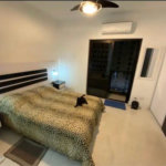 Apartamento Residencial à venda, Centro, São Vicente - AP1396.