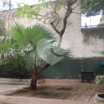Casa à venda com 4 quartos em Maracanã, Rio de Janeiro, RJ