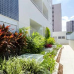 Apartamento para alugar com 2 quartos em Baeta Neves, São Bernardo do Campo, SP