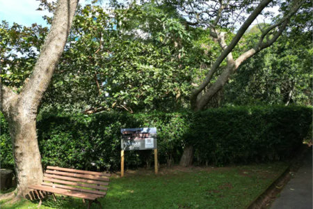 Terreno à venda em Paraisópolis, São Paulo, SP