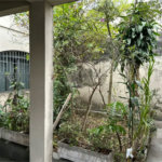 Casa à venda com 3 quartos, sendo 1 suíte, em São João Clímaco, São Paulo, SP