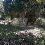 Sitio São João - Km 258