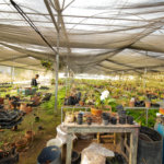 Terreno à venda com 1 quarto em Jardim Camargo (canguera), São Roque, SP