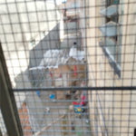 Sobrado à venda com 2 quartos em Vila Maria, São Paulo, SP