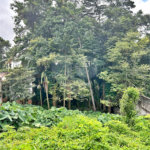 Terreno à venda em Tremembé, São Paulo, SP