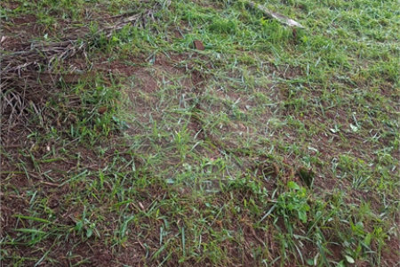 Terreno à venda no condomínio Portal do Igaratá, Igaratá - SP