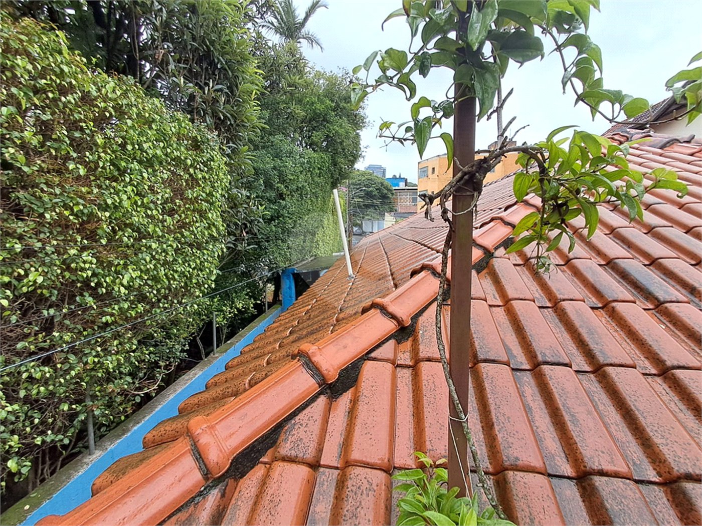 Sobrado à venda com 4 quartos em Vila Madalena, São Paulo, SP