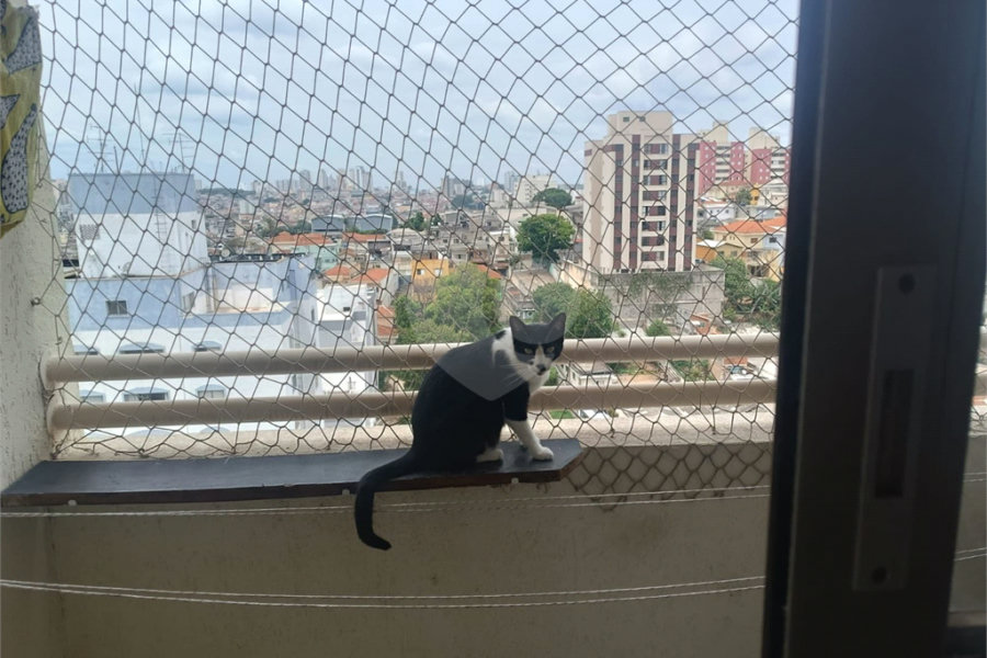 Apartamento à venda com 2 quartos em Imirim, São Paulo, SP