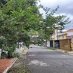 Casa à venda com 3 suítes em Vila Mariana, São Paulo, SP