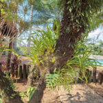 Rancho com 12 dormitórios à venda, 63000 m² por R$ 7.500.000,00 - Condomínio Haras Paineiras - Salto/SP