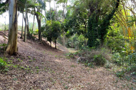 Excelente imóvel rural, situado em Analândia/SP