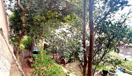 Terreno à venda em Vila Mazzei, São Paulo, SP