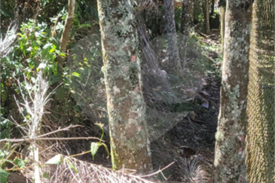 Condomínio à venda em Serra da Cantareira, Mairiporã, SP