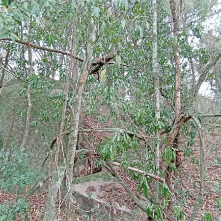 Terreno à venda em Chácaras Alpina, Valinhos, SP