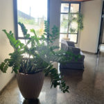 Apartamento à venda com 3 quartos, sendo 1 suíte,  em Vila Redentora, São José do Rio Preto, SP