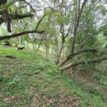 Sítio à venda com 6 quartos, sendo 5 suítes, em Área Rural de Itapetininga, Itapetininga, SP