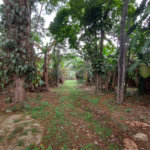 Terreno à venda em Jardim Bela Vista, Guarulhos, SP