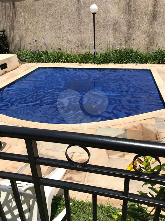 Apartamento à venda com 3 quartos em Vila Nova Cachoeirinha, São Paulo, SP