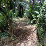 Terreno à venda no condomínio Sausalito, Mairiporã - SP