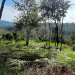 Terreno à venda em São Vicente, Mairiporã, SP