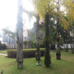 Apartamento à venda com 4 quartos, sendo 3 suítes,  em Vila Andrade, São Paulo, SP
