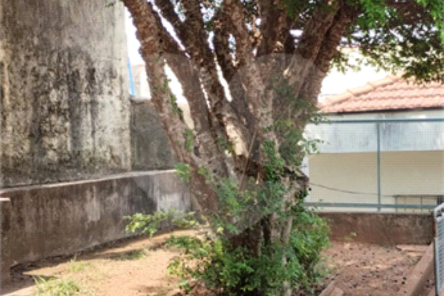 Casa Térrea à venda com 3 quartos, sendo 1 suíte, em Vila Guilherme, São Paulo, SP