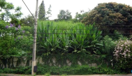 Terreno à venda em Vila Andrade, São Paulo, SP
