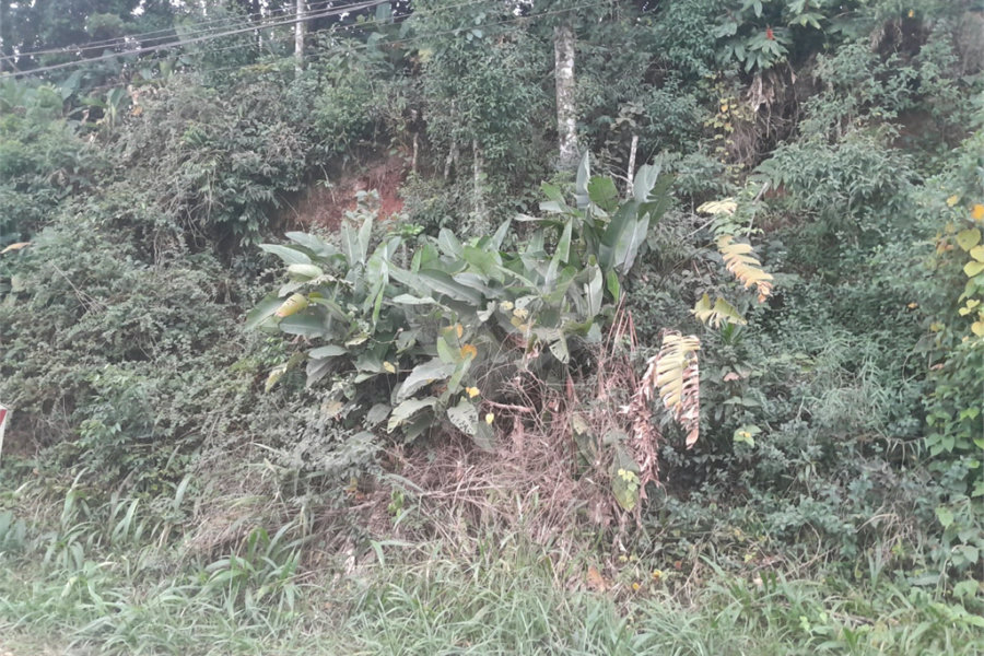 Terreno à venda em Serra da Cantareira, Mairiporã, SP