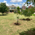 Terreno à venda em Jardim Residencial Vicente de Moraes, Sorocaba, SP